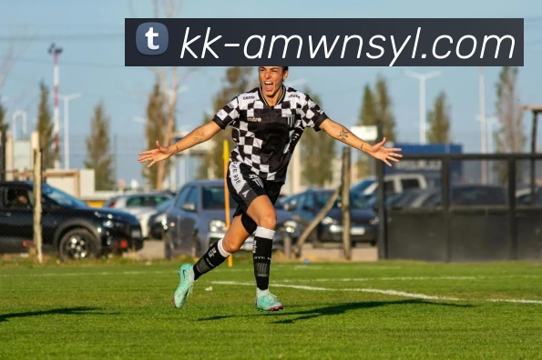 威尼斯人官网平台生态图