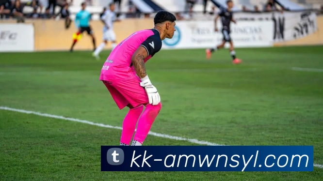 威尼斯人官网APP 封面图